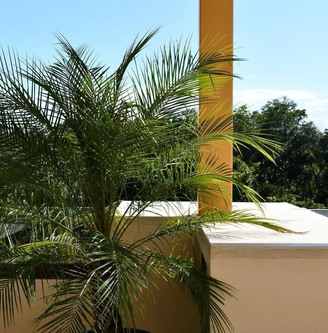 Apartment 3-Bedroom Villa With Private Pool, Terrace And Bbq Tulum