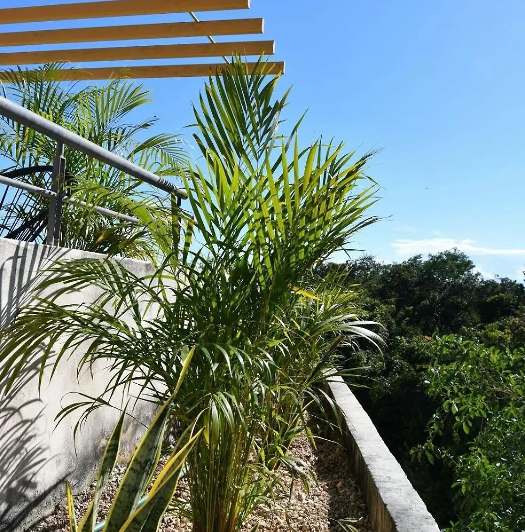 3-Bedroom Villa With Private Pool, Terrace And Bbq Tulum